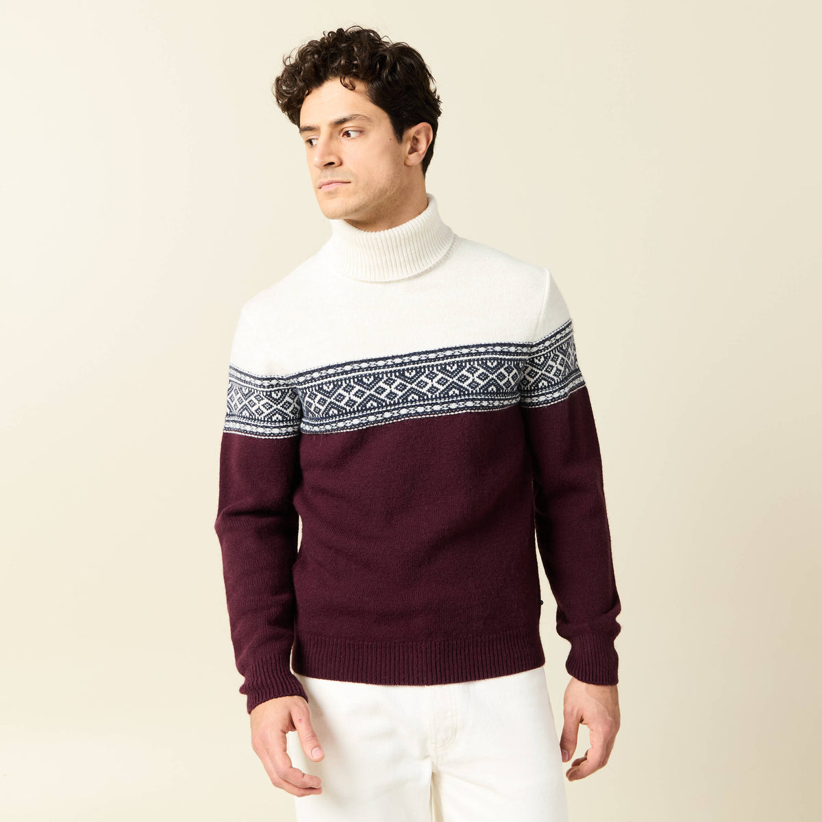 Pull manches longues prune homme