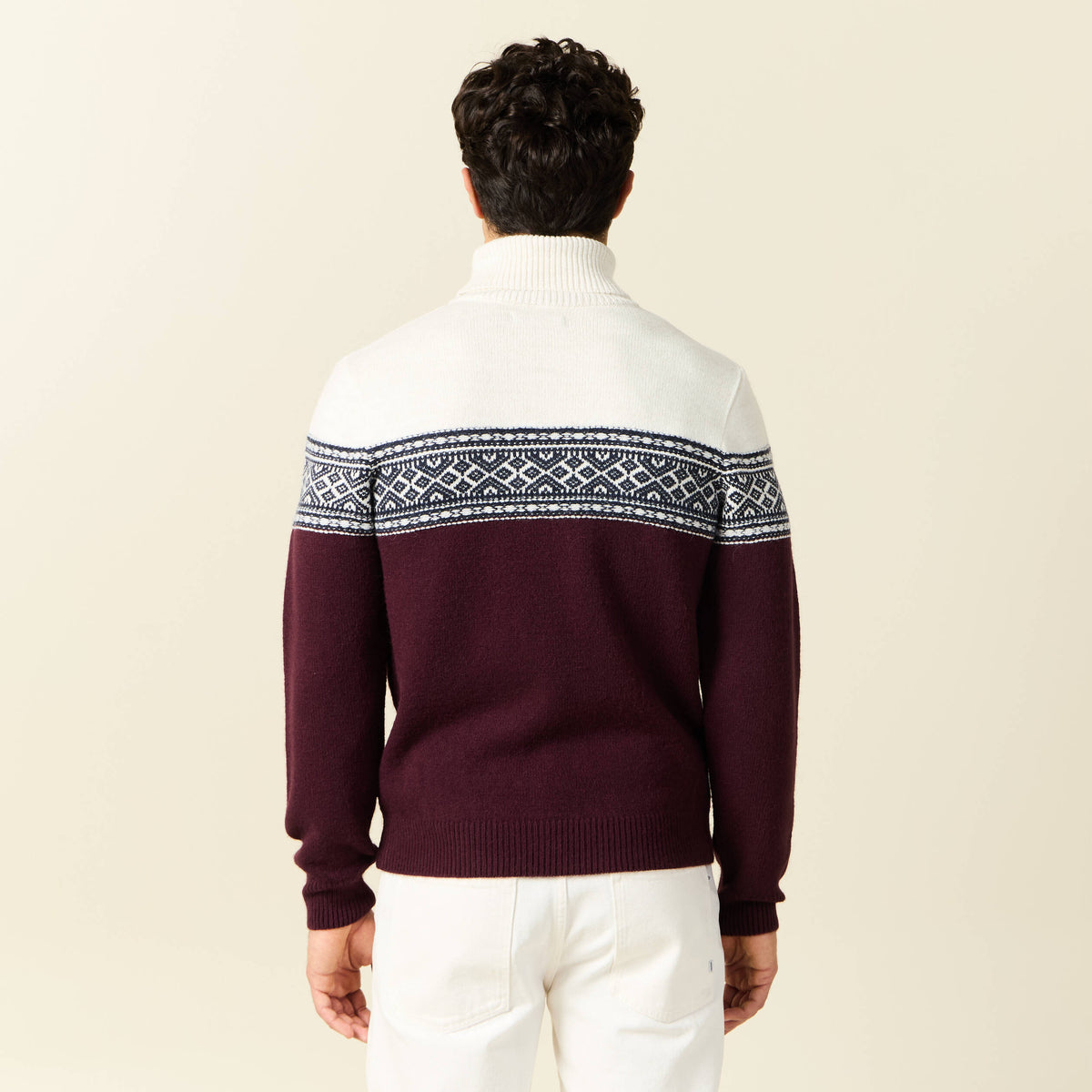 Pull manches longues prune homme